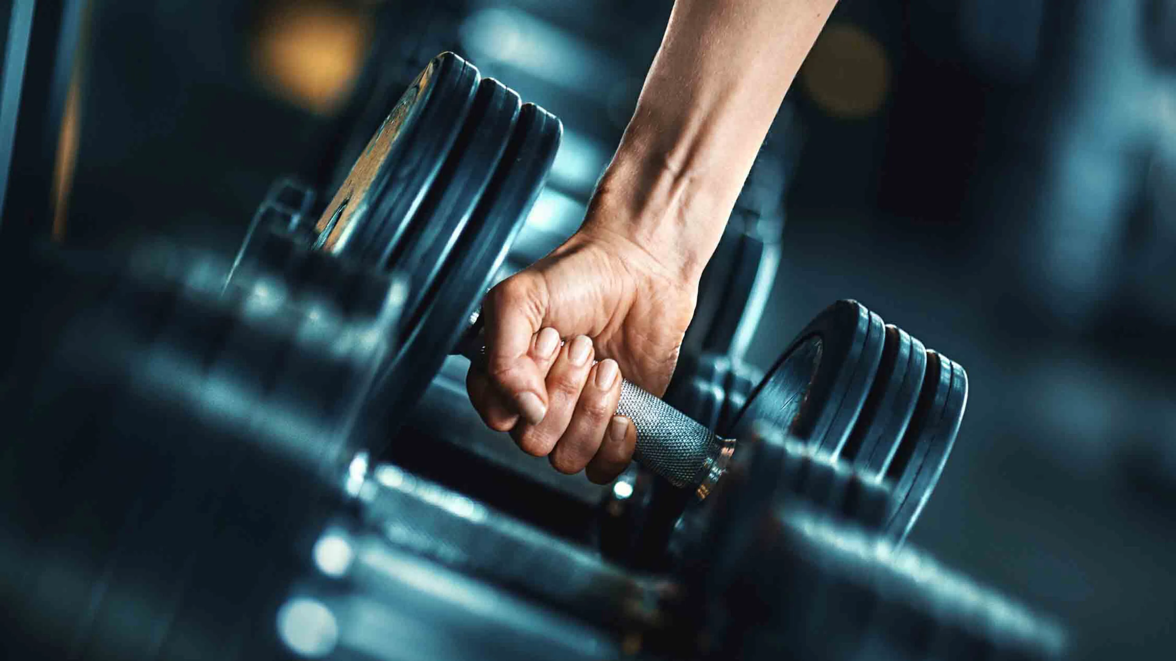 YMCA Denver Personal Trainers