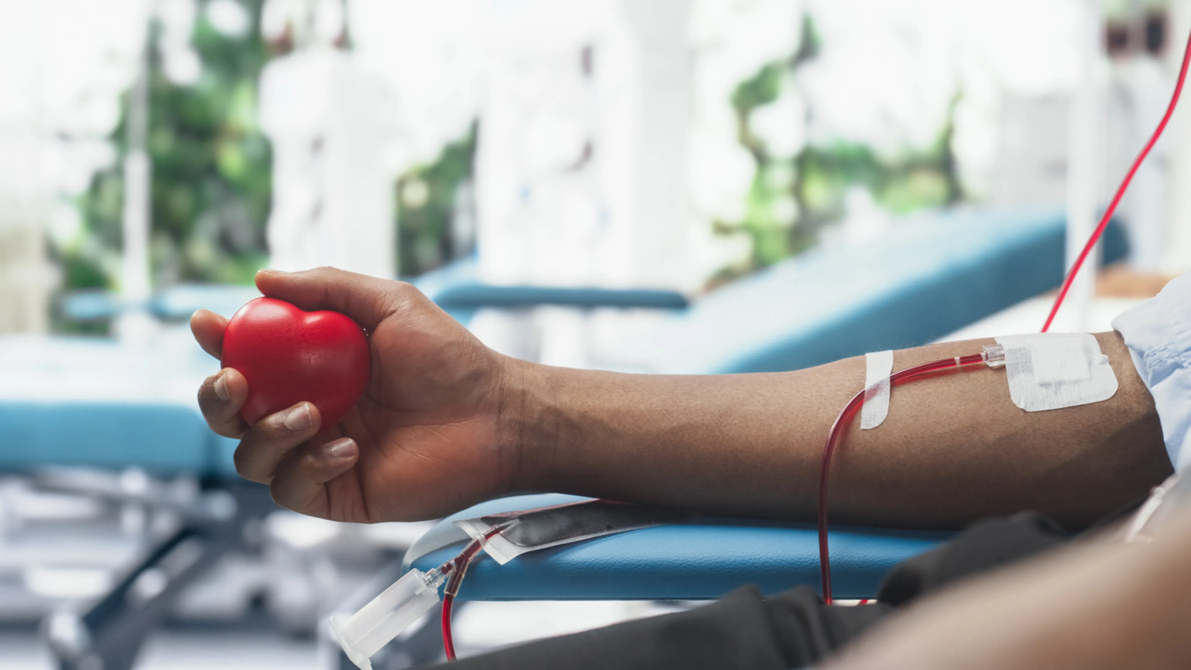 blood drive patient