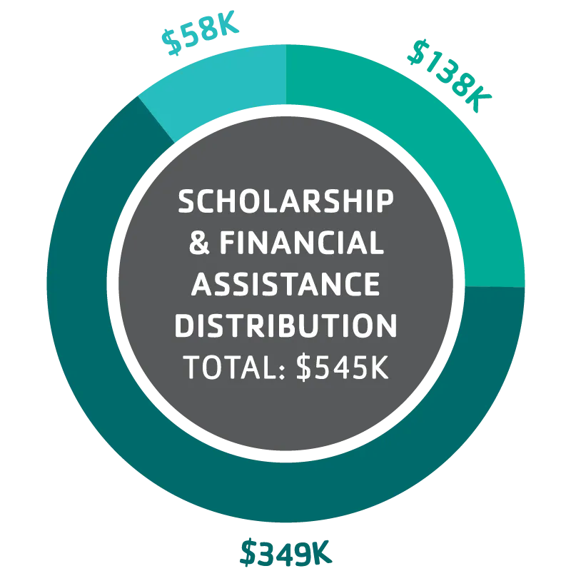 scholarship assistance pie graph