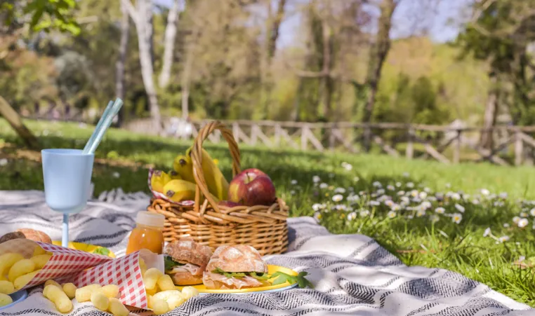 Picnic