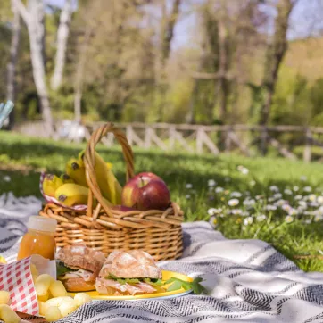 Picnic